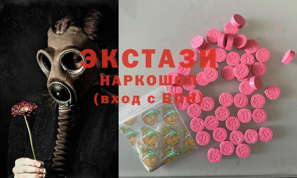 a pvp Новозыбков