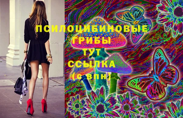 гашиш Новокубанск