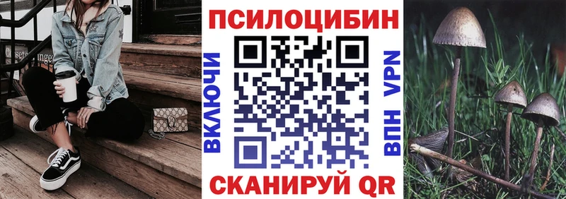 Псилоцибиновые грибы GOLDEN TEACHER  блэк спрут онион  Нахабино 